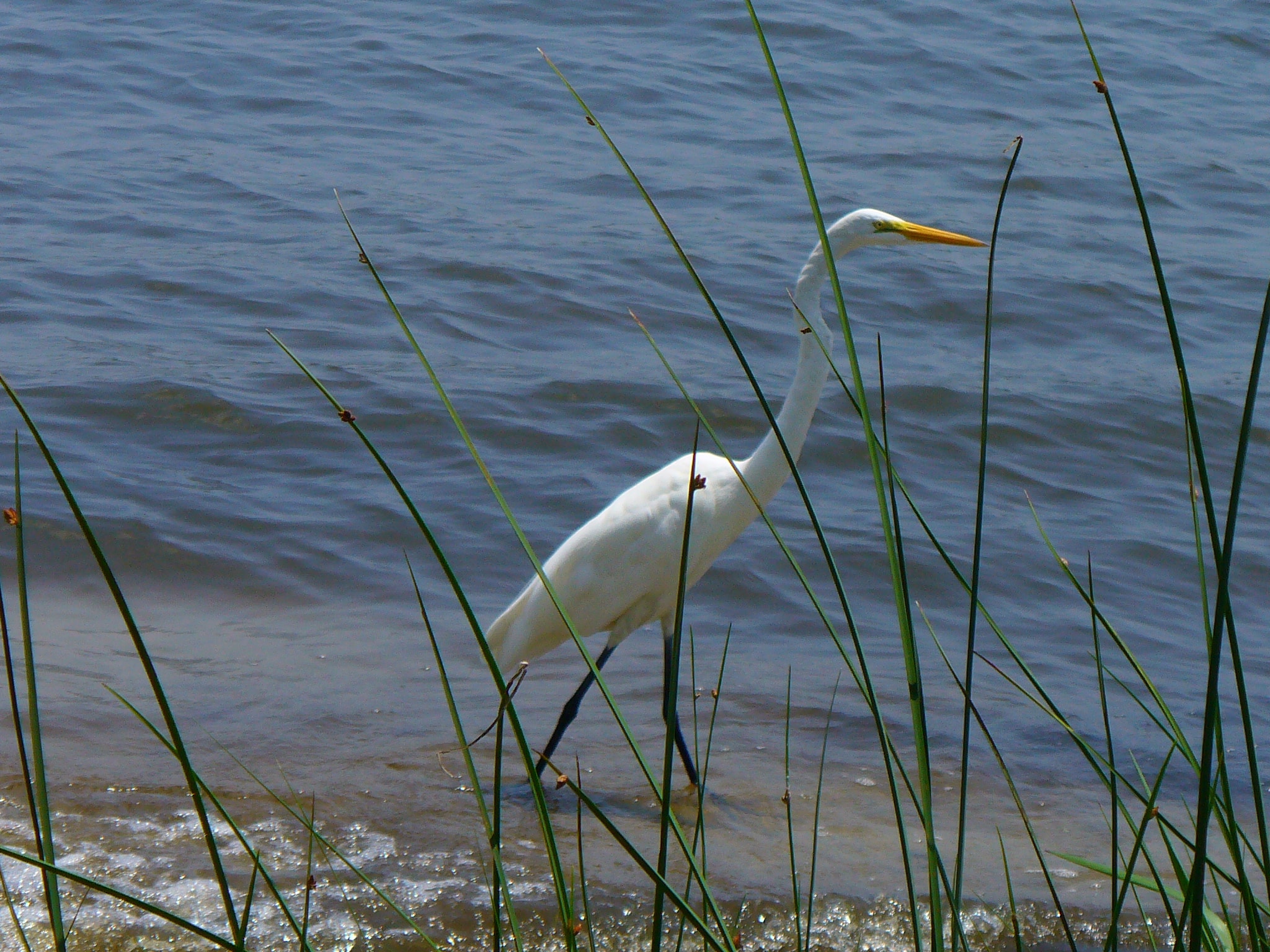 10. One of Grant-Valkaria's residents (Photo courtesy of Rene Bryan)